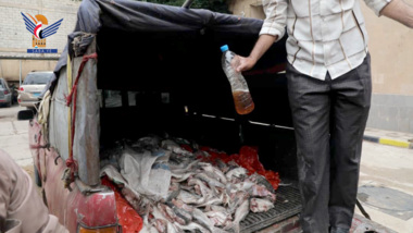 Destroying half ton of fish unfit for human consumption in Al-Balili market