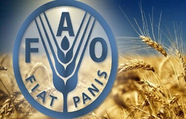 FAO expresses concern about catastrophic situation in Gaza Strip