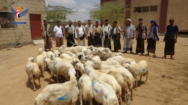 حجة.. قافلة عيدية من وزارة الإدارة المحلية للمرابطين في الجبهات