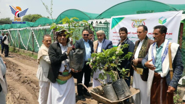 Launching distribution of 19,000 coffee seedlings to farmers in Ibb, Taiz 