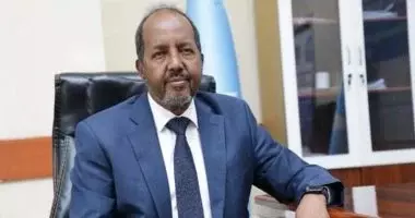 Somali president denies talks with al-Shabaab amid military operations
