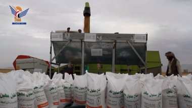 L'inauguration de la saison de récolte des semences de blé à la ferme Al-Snidar à Jawf