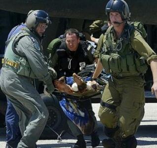 Zionist army says 695 soldiers killed since Gaza war beginning