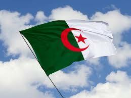 Algerian Kaylia Nemour gives Arabs first gold medal at Paris 2024 Olympics