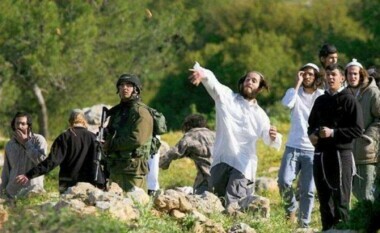 Settlers attack olive pickers in southern Nablus