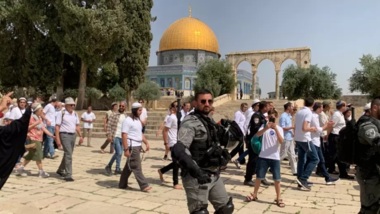 Bandadas de colonos asaltan los patios de Al-Aqsa bajo la protección de la policía del enemigo sionista