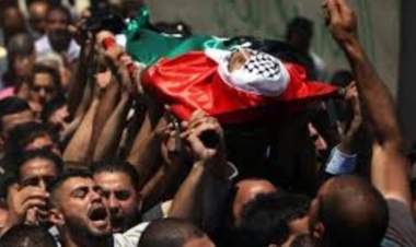 Palestinian Health: 589 martyrs, including 142 children