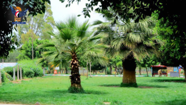  أمانة العاصمة تؤكد جاهزية 66 حديقة عامة لاستقبال الزوار في عيد الفطر 