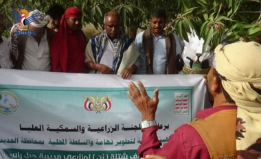 Verteilung von 5000 Kaffeesämlingen im Bezirk Jabal Ras in Hodeidah