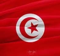 Tunis starts candidacy stage for presidential elections