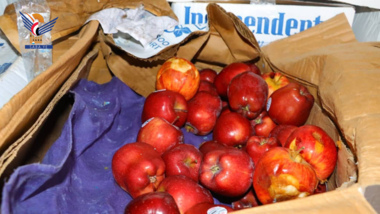 Das Ministerium für Landwirtschaft und Bewässerung beschlagnahmte 12,5 Tonnen geschmuggelter ausländischer Äpfel