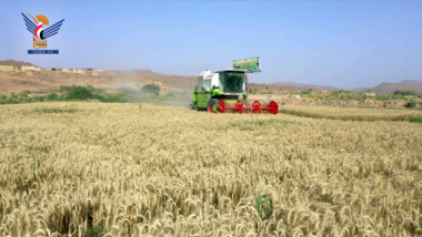 Allgemeine Organisation für Getreideentwicklung und -produktiion weihte Wintersaison der Märtyrer-Al-Sammad-Farm in Al-Dschouf ein