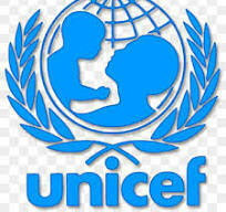 L'UNICEF confirme la mort de plus de 13 enfants lors de l'agression sioniste contre Gaza