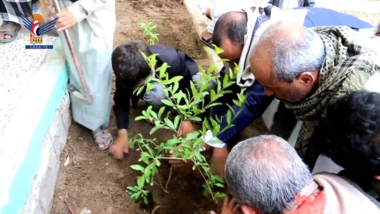 Landwirtschaftsamt in Saada startet die Pflanzung fruchtbarer Setzlinge in Sommerschulen