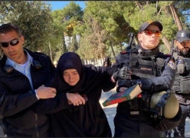 El enemigo sionista arresta a una mujer palestina en Ramallah y quema decenas de olivos al sur de Naplusa