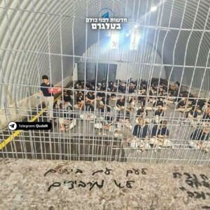  مركز فلسطين لدراسات الأسرى:550 حالة اعتقال خلال أبريل بينهم 14 امرأة و52 طفلًا 
