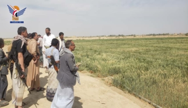 Inspizierung der Saatfarmen in den Distrikten Al-Maslub und Al-Ghail in Al-Dschouf