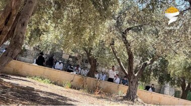 191 Israeli settlers storm al-Aqsa Mosque in provocative incursions