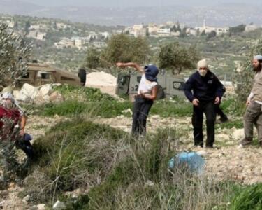 مستوطنون صهاينة يحرقون غرفا زراعية قرب المغيّر شمال شرق رام الله