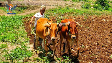 Selbstversorgung mit landwirtschaftlichen Nutzpflanzen ist ein strategisches Ziel der Revolution vom 21. September