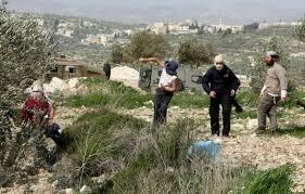 Ciudadano palestino resultó herido en ataque terrorista de colonos en la carretera Ramallah-Nablus
