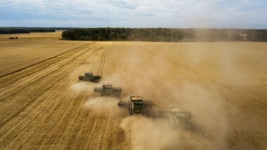 روسيا تحافظ على صدارة مصدري القمح في العالم