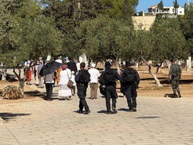Siedler dringen mit dem Schutz der feindlichen zionistischen Streitkräfte in den Al-Aqsa ein