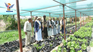 أمين عام محلي إب يتفقد مشتل صندوق النظافة والتحسين بمركز المحافظة