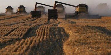 صادرات القمح الروسي تبلغ 50 مليون طن خلال العام الجاري