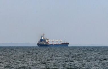 تسع سفن محملة بالمواد الغذائية تغادر الموانئ الأوكرانية في إطار صفقة الحبوب