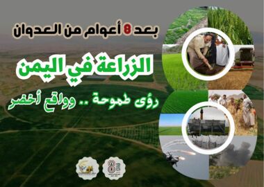 Nach 8 Jahren Aggression: Landwirtschaft im Jemen.. Ehrgeizige Visionen.. und eine grüne Realität