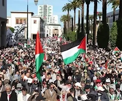  Thousands of Moroccans rally in solidarity with Palestinians, Gaza, condemn 