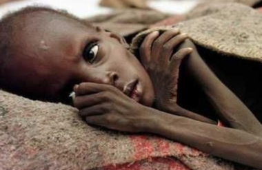 Sudan's malnutrition crisis: WFP sounds alarm as residents resort to eating grass, leaves