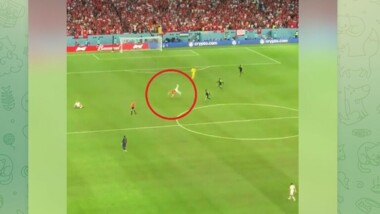 مشجع يقتحم ملعب مباراة تونس و فرنسا حاملا علم فلسطين