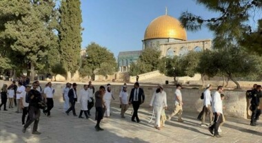 Manadas de colonos sionistas asaltan la bendita mezquita de Al-Aqsa