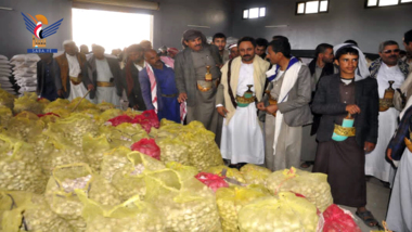 تدشين توزيع 38 طن بذور قمح محسنة للمزارعين في محافظة صنعاء