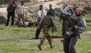 إصابة فلسطينيين في اعتداءات للمستوطنين  ببيت لحم