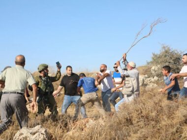 المملكة المتحدة تدين هجمات المستوطنين على بروقين غرب سلفيت