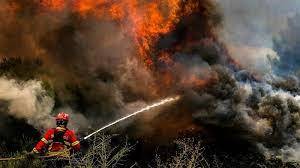 Los incendios devoran 600 hectáreas de bosques en España