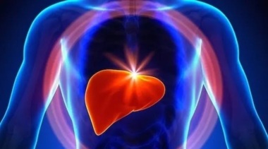 Russian scientists set inventive way to identify liver cancer