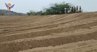 L'inauguration des travaux de poldérisation des terres agricoles à Haradh, Hajjah