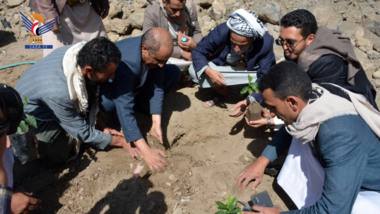 تدشين موسم زراعة البن وتوزيع 20 ألف شتلة بمحافظة صنعاء 