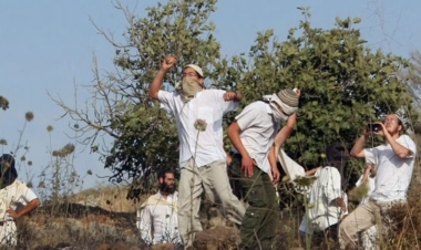Settlers attack village eastern Ramallah; others steal number of cows in Tubas