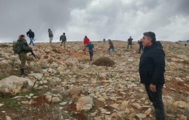 Los sionistas arrancaron retoños de vid de las tierras de la ciudad de Al-Khader en Belén.