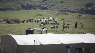 Settlers attack sheep pens in Arab al-Malihat