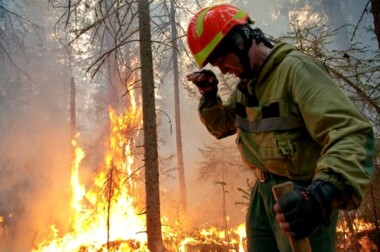Portugal sigue combatiendo los incendios que mataron a cinco personas y destruyeron miles de hectáreas