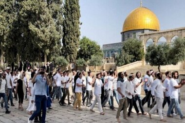 Gouvernement Quds warnt vor einem einmonatigen Programm angeblicher „ Tempel “ -Gruppen gegen Al-Aqsa