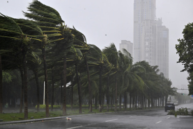 Typhoon hits southern China, leaving casualties, material losses