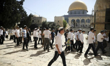 Herds of Zionist settlers renew their incursion into the courtyards of Al-Aqsa Mosque