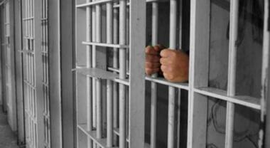 La Autoridad Palestina de Prisioneros advierte: la enfermedad “Scabius” amenaza la vida de los cachorros en “Ofer”